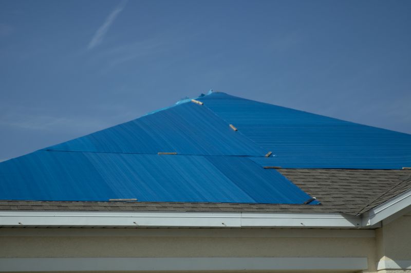 Roof Tarp Repair