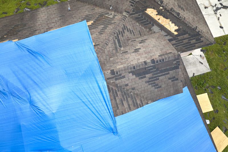 Roof Tarp Repair