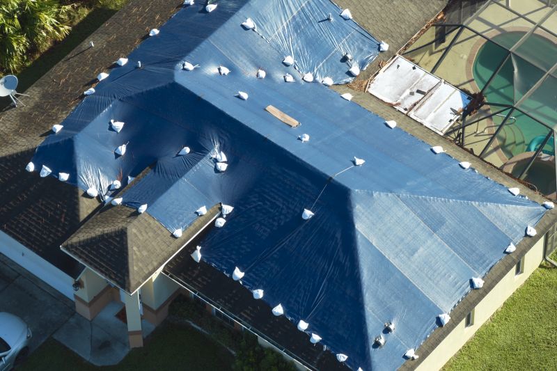 Roof Tarp Repair