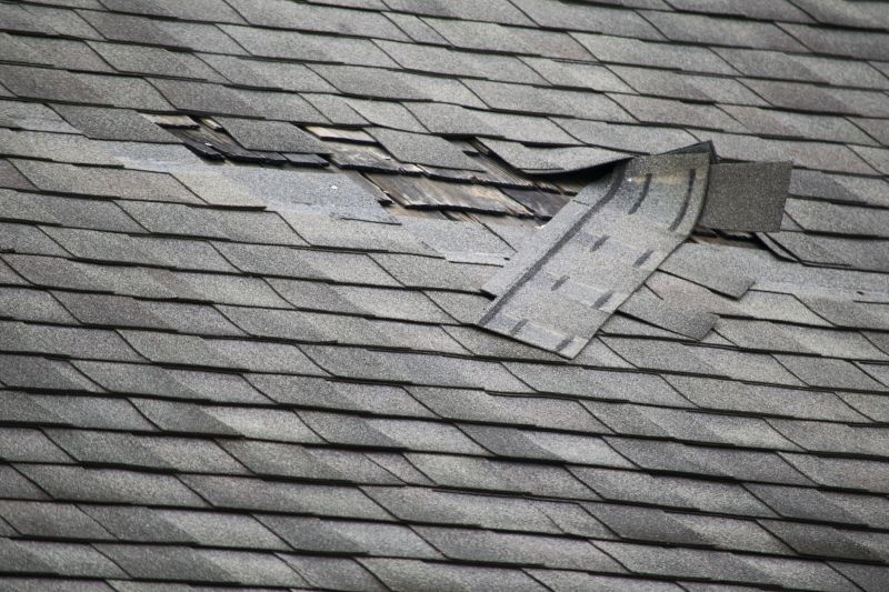 Roof Tarp Repair detail