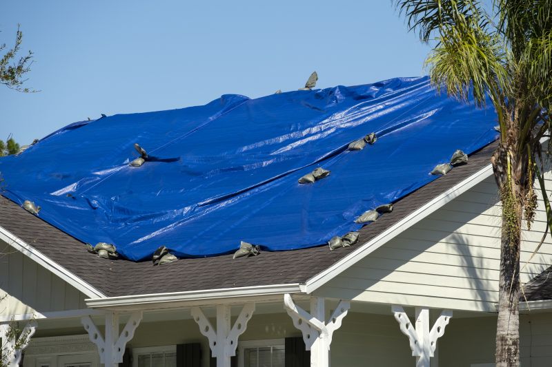 Roof Tarp Repair detail