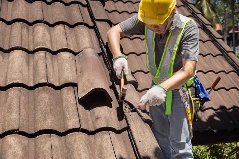 Roof Tarp Repair detail